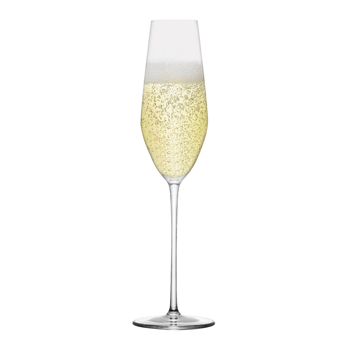 Homestia Tulip Champagne Glass Stemware 5 oz